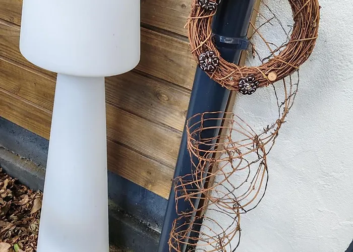 T2 Sur Cour Nantaise